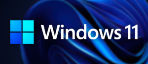 Ninite for Windows 11